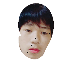 [LINEスタンプ] Tsubasasennyou