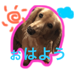 [LINEスタンプ] 日常可愛いスタンプ