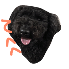 [LINEスタンプ] マロのあれこれ