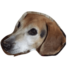 [LINEスタンプ] I love my dog  Jack