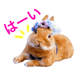[LINEスタンプ] ラビット まる。スタンプ2
