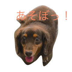 [LINEスタンプ] lovely るみちゃん ！！！