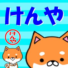 [LINEスタンプ] 超★けんや(ケンヤ)な柴イヌ