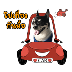 [LINEスタンプ] Taroaudi
