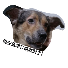 [LINEスタンプ] Fatbaby