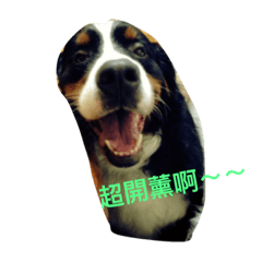 [LINEスタンプ] I love my dogs