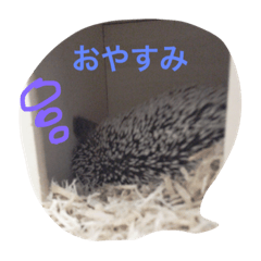 [LINEスタンプ] ハリネズミのウニ