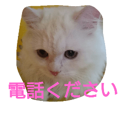 [LINEスタンプ] わが家のマフィン
