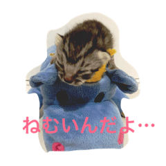 [LINEスタンプ] よちみスタンプ