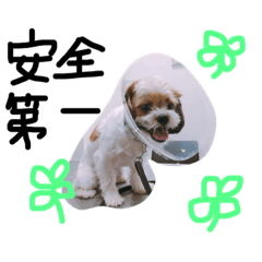 [LINEスタンプ] wagayanokotetsu