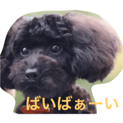 [LINEスタンプ] はらへりきち