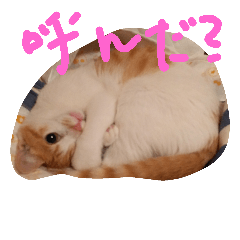 [LINEスタンプ] Wミケランジェロ