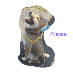 [LINEスタンプ] PointyEared