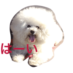 [LINEスタンプ] もふもふ ビションのろでしゃん 2