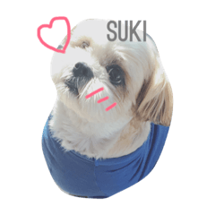 [LINEスタンプ] がん助のまいにち