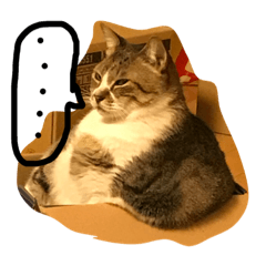 [LINEスタンプ] neko.neko.2