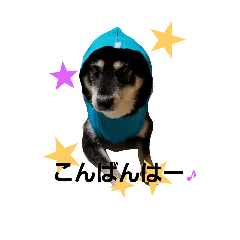 [LINEスタンプ] 柴犬遊ちゃん本舗