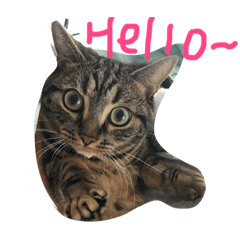 [LINEスタンプ] 大好きマーク