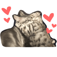 [LINEスタンプ] シュピとコチョ#1