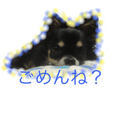 [LINEスタンプ] てとと仲間たち