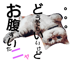 [LINEスタンプ] トトト