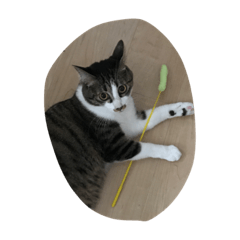 [LINEスタンプ] うちの猫はにゃる