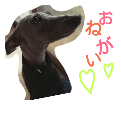 [LINEスタンプ] 気まぐれロンちゃん妹ver.