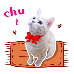 [LINEスタンプ] Cat story2-A Cat's daily！！ (English)