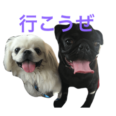 [LINEスタンプ] ひじき＆おこめ