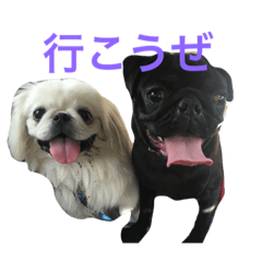 [LINEスタンプ] ひじき＆おこめの画像（メイン）