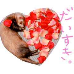 [LINEスタンプ] フェレット＆ドッグ/