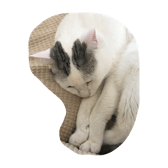 [LINEスタンプ] ミル様