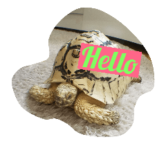[LINEスタンプ] Tortoises story1
