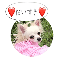 [LINEスタンプ] チワマルのここ