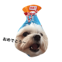[LINEスタンプ] 全力犬2