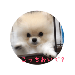 [LINEスタンプ] だいふくの日常2