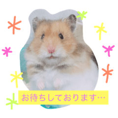 [LINEスタンプ] ポッキーとラッキー