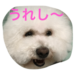 [LINEスタンプ] リュウケイくん