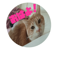[LINEスタンプ] モナ男さん