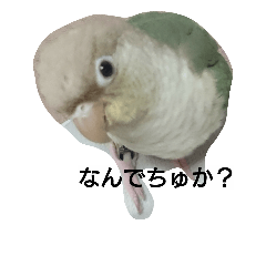 [LINEスタンプ] Love Bird ！