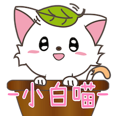 [LINEスタンプ] Small white cute meow
