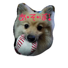[LINEスタンプ] ponta gokoro