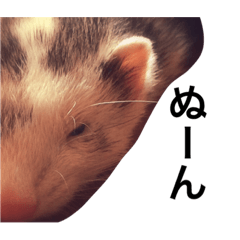 [LINEスタンプ] たろちゃんpart1