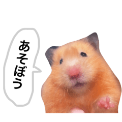 [LINEスタンプ] はむらんどpart2