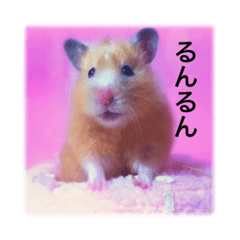 [LINEスタンプ] はむらんどpart3