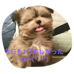 [LINEスタンプ] マーブルの一言
