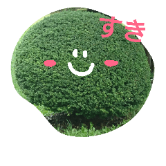 [LINEスタンプ] 近所の植木たち