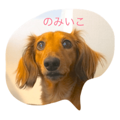 [LINEスタンプ] sample858585