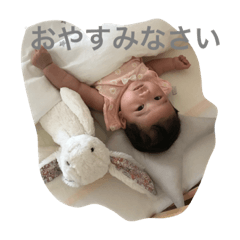 [LINEスタンプ] ころころこころんのまいにち
