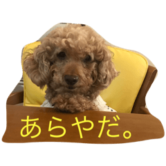 [LINEスタンプ] The beautiful dog